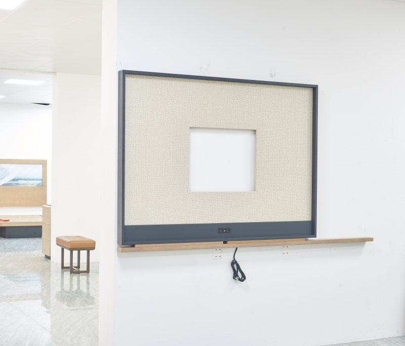 TV panel