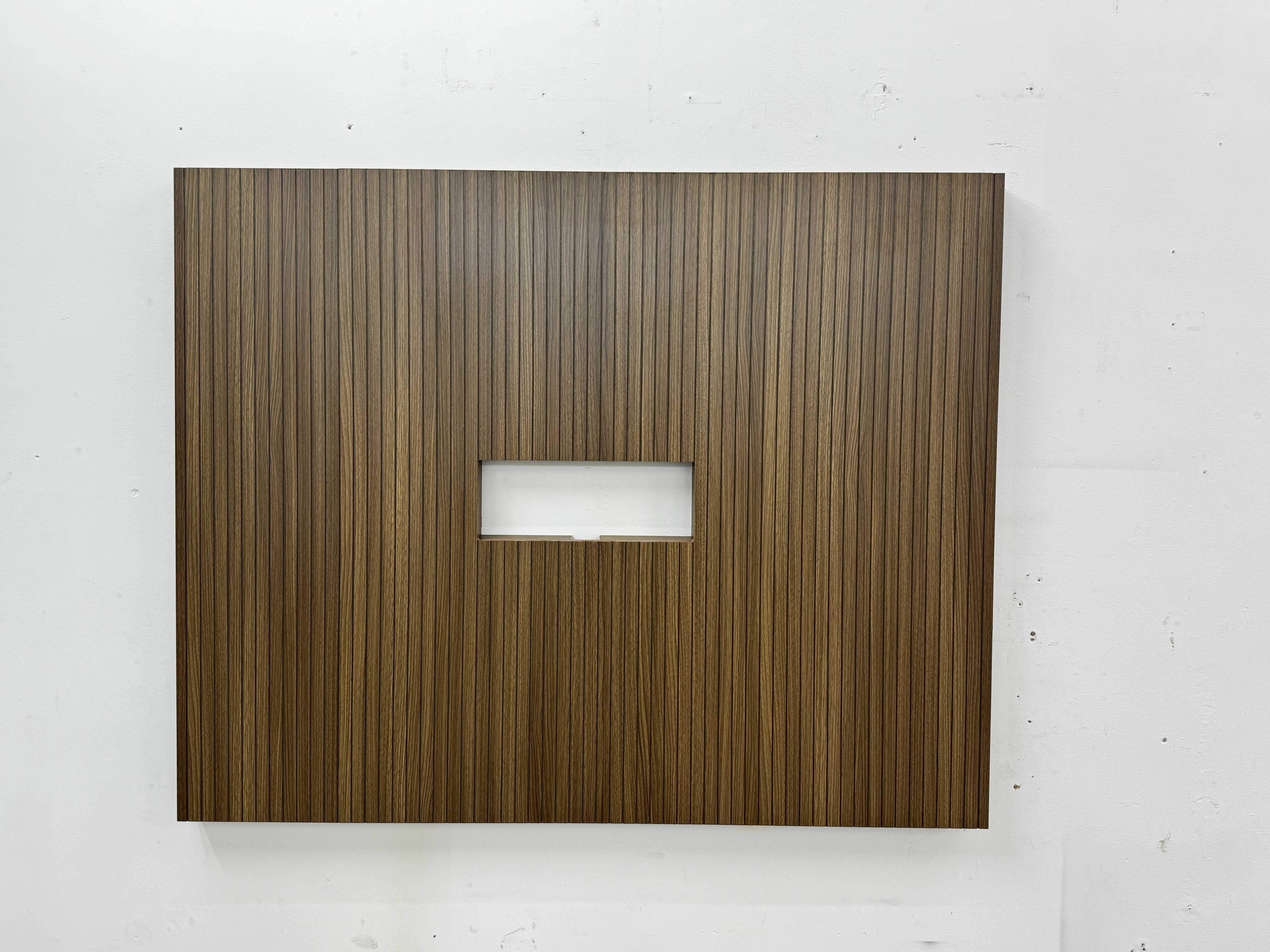 TV panel with shelving